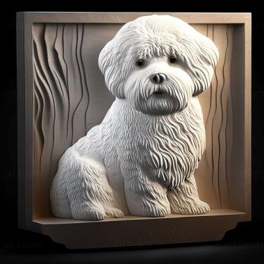 3D model Bichon frise dog (STL)